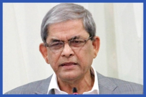 দেশে এখনো গণতন্ত্রের যথাযথ চর্চার সুযোগ হয়নি: মির্জা ফখরুল