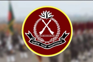 বিজিবিতে বড় নিয়োগ, পদ ১৬৬