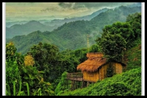 লামার ৭৫ রিসোর্ট বন্ধ ঘোষণা