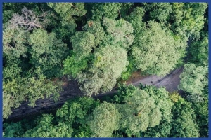 ড্রোন হামলায় চাপে ভারত! মিয়ানমারে উলফা ঘাঁটিতে বিস্ফোরণ