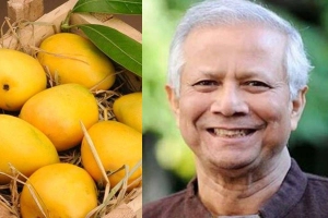 প্রতিবেশী রাষ্ট্রপ্রধানদের জন্য প্রধান উপদেষ্টার আম উপহার
