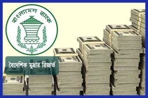 ৩০ বিলিয়ন ডলার ছাড়ালো বৈদেশিক মুদ্রার রিজার্ভ