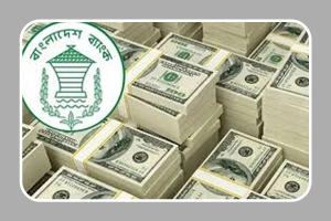 মাসের প্রথম ১৬ দিনে রেমিট্যান্সের রেকর্ড 