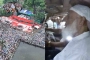 সোহরাওয়ার্দী উদ্যানে জামায়াত আমির, লাখো মানুষের ঢল