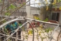মাইলস্টোনের মূল ফটকে তালা