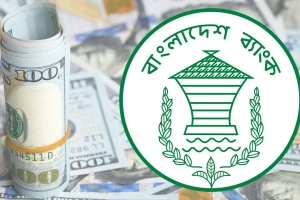 ফের ৩০ বিলিয়ন ছাড়াল রিজার্ভ