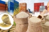 বাংলাদেশের আমদানির খবরে চালের দাম বাড়াল ভারত!