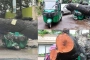 ধানমন্ডিতে গাছ পড়ে দুমড়েমুচড়ে গেল ৩ গাড়ি