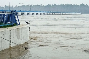 বিপৎসীমা অতিক্রম করেছে তিস্তার পানি, ৪ জেলায় বন্যার শঙ্কা