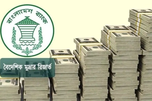 রিজার্ভের ঊর্ধ্বগতি, বেড়ে প্রায় ৩১ বিলিয়ন ডলার
