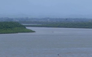 রোহিঙ্গা অনুপ্রবেশ: আটক ২ দালাল, সীমান্তে টহল জোরদার