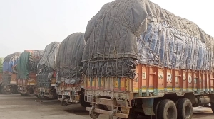 বাড়ছে চালের সরবরাহ, কমবে দাম