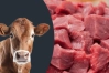 ব্রাজিল থেকে ১২০ টাকায় গরুর মাংস, যা বলল মন্ত্রণালয়