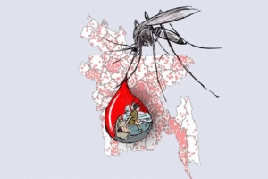 ডেঙ্গুর মতোই দ্রুত বাড়ছে চিকুনগুনিয়া