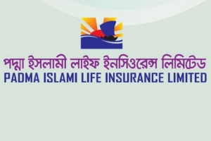৩৯ কোটি মূলধনী কোম্পানির তহবিল ঘাটতি ৩০৮ কোটি টাকা