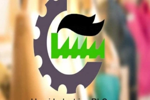 কারখানা ভাড়া দিয়ে ঘুরে দাঁড়ানোর চেষ্টা হামি ইন্ডাস্ট্রিজের