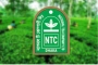 ন্যাশনাল টি’র রাইট ইস্যুতে স্বতন্ত্র পরিচালকের সুবিধা নিয়ে বিতর্ক