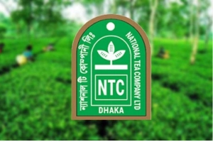 ন্যাশনাল টি’র রাইট ইস্যুতে স্বতন্ত্র পরিচালকের সুবিধা নিয়ে বিতর্ক