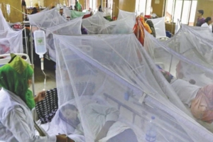 ডেঙ্গুতে ৪ মৃত্যু, হাসপাতালে ভর্তি ৫৬৮ জন