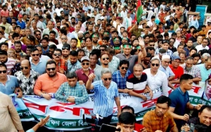 দক্ষিণ এশিয়ার সবচেয়ে বৃহত্তম দল বিএনপি: আমীর খসরু