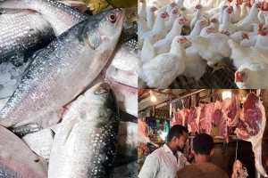 ভরা মৌসুমেও ইলিশের নাগাল নেই, মুরগি-মাংসও হাতের বাইরে