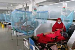 ২৪ ঘণ্টায় ডেঙ্গুতে মৃত্যু ৬, মোট প্রাণহানি ১৪৫