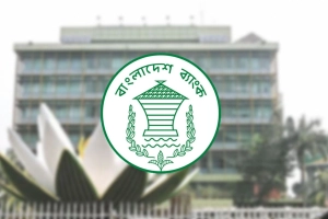 ক্ষতিগ্রস্ত প্রতিষ্ঠানগুলো নিয়ে বাংলাদেশ ব্যাংকের নতুন সিদ্ধান্ত