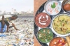গারবেজ ক্যাফে: ময়লার বিনিময়ে মিলছে খাবার
