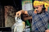 ৯ মণ দুধের চা উৎসব : ইউটিউবারের ফ্রি উদযাপন