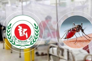 ডেঙ্গুতে আবারো প্রাণহানি, মোট মৃত্যু ১৯৫ ছাড়ালো