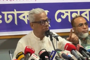 দেশে অস্থিতিশীলতা ছড়াচ্ছে আওয়ামী লীগ ও ভারত : ফারুক