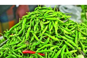 






তিন দিনের দাপটে মরিচের দাম ছাড়ালো ৩০০ টাকা




 
 



 