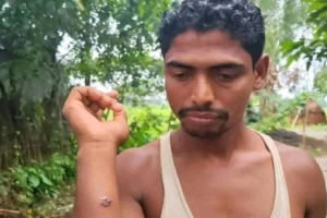 গাইবান্ধায় অ্যানথ্রাক্স আতঙ্ক: আক্রান্ত ১১