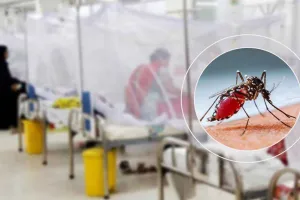 ডেঙ্গুতে মৃত্যু এক, হাসপাতালে ভর্তি ৩৭৪ জন