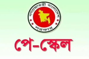 পে-স্কেল কার্যকর হবে কখন থেকে? যা জানা গেল