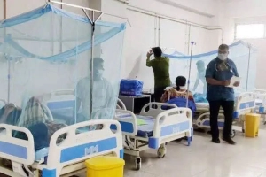 ডেঙ্গুতে আক্রান্ত ৫০ হাজার ছাড়ালো, ম'ত্যু ২১৫