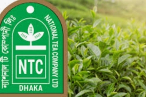 চার বছরের চেষ্টাতে লক্ষ্যের কাছাকাছি এসে ব্যর্থ ন্যাশনাল টি