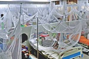 ২৪ ঘণ্টায় রাজধানীসহ দেশে ডেঙ্গু হাসপাতালে ভর্তি ৩০৮