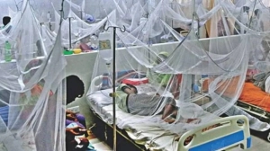 ২৪ ঘণ্টায় সারাদেশে ডেঙ্গুতে হাসপাতালে ভর্তি ৪১৩ জন