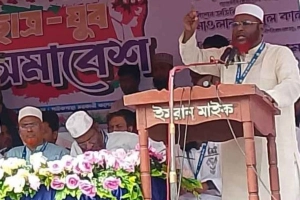 সরকারের কিছু উপদেষ্টার মধ্যে অস্থিরতা দেখা যাচ্ছে: মিয়া গোলাম পরওয়ার