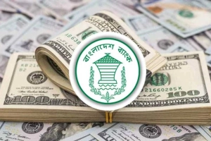 অক্টোবরের ১১ দিনেই ১২ হাজার কোটি রেমিট্যান্স!