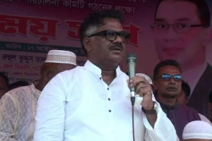 জামায়াতের হাতে দেশ গেলে ধ্বংস হয়ে যাবে: দুলু