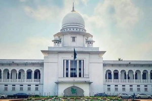 তত্ত্বাবধায়ক সরকার ফেরানোর দাবিতে চূড়ান্ত শুনানি কাল