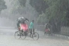বঙ্গোপসাগরে লঘুচাপ, পাঁচ বিভাগে টানা বৃষ্টির সম্ভাবনা