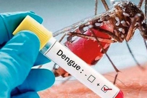 ডেঙ্গুতে দুই মৃ’ত্যু, নতুন রোগী ৭৬২ জন