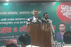 জুলাই সনদ বাস্তবায়নে সংবিধানের বাইরে যাওয়া চলবে না: সালাহউদ্দিন আহমেদ