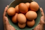 খালি পেটে ডিম খাওয়া ঠিক? যা জানালেন পুষ্টিবিদ