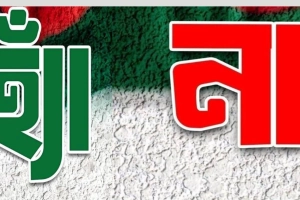 ফেসবুকে হ্যাঁ-না পোস্টে গণভোটের নতুন উত্তাপ