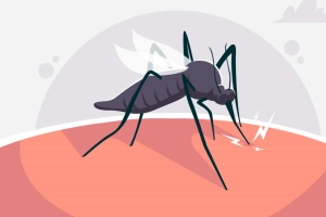 ২৪ ঘণ্টায় ডেঙ্গুতে আরও ৩ মৃত্যু, নতুন আক্রান্ত ৯২৮