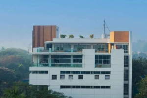 ডিবিএল গ্রুপে চাকরির সুযোগ, আবেদন অনলাইনে